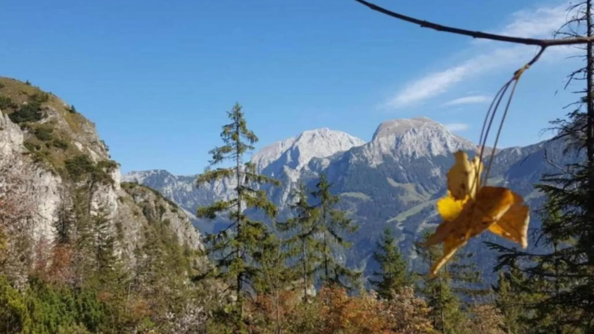 Holiday Flat In Schoenau Am Koenigssee Appartement Schönau am Königssee